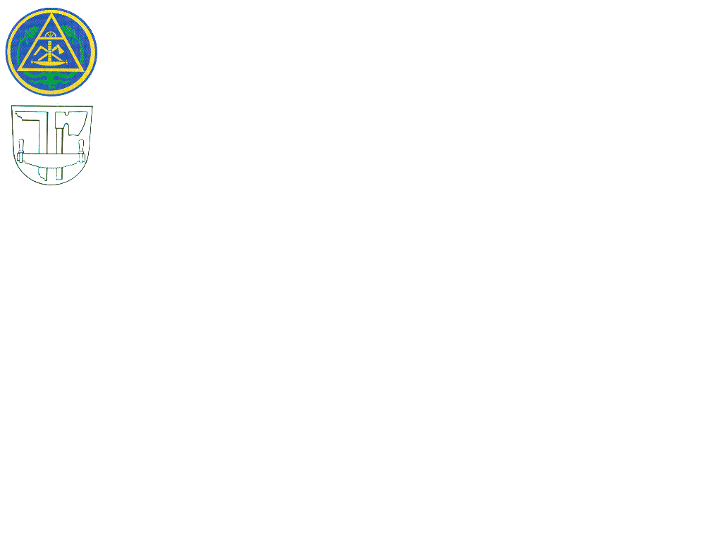 logo_zimmermann.gif (20010 Byte)