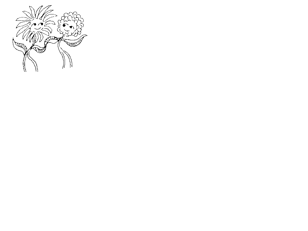 verdreht2.gif (4000 Byte)