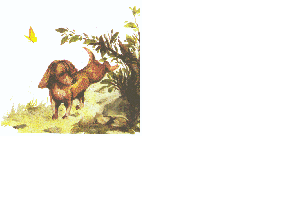 waldbuch2.gif (99438 Byte)